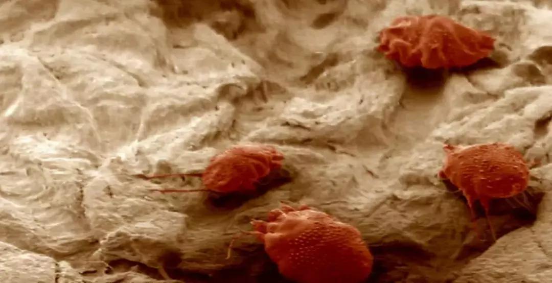 你身体里住着几个人格,你身体里住着谁