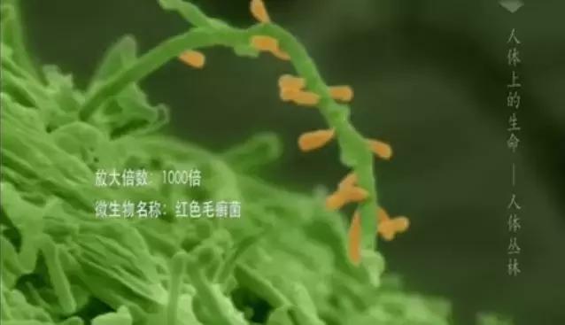 你身体里住着几个人格,你身体里住着谁