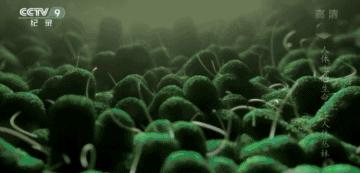 你身体里住着几个人格,你身体里住着谁