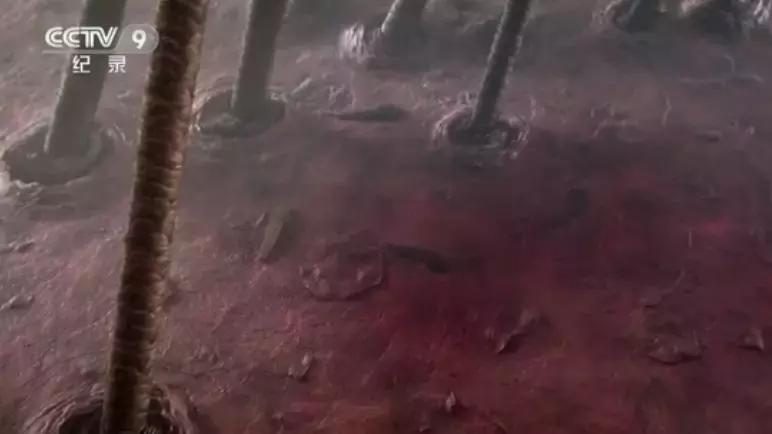 你身体里住着几个人格,你身体里住着谁