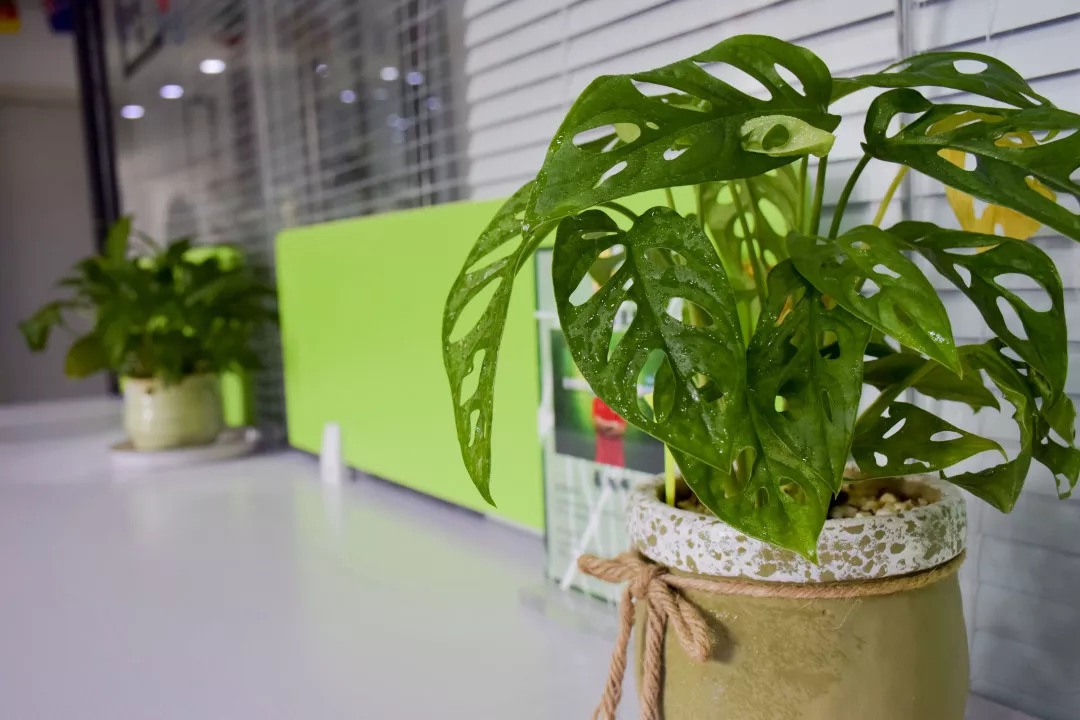 乔迁之喜碰上元旦,乔迁之喜和新婚双喜临门