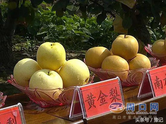 五一小长假必买十大特产,十一国庆河南旅游攻略