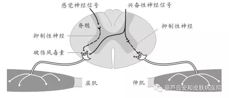 几年前打的破伤风针现在还有用吗,以前打了破伤风针现在还有效果