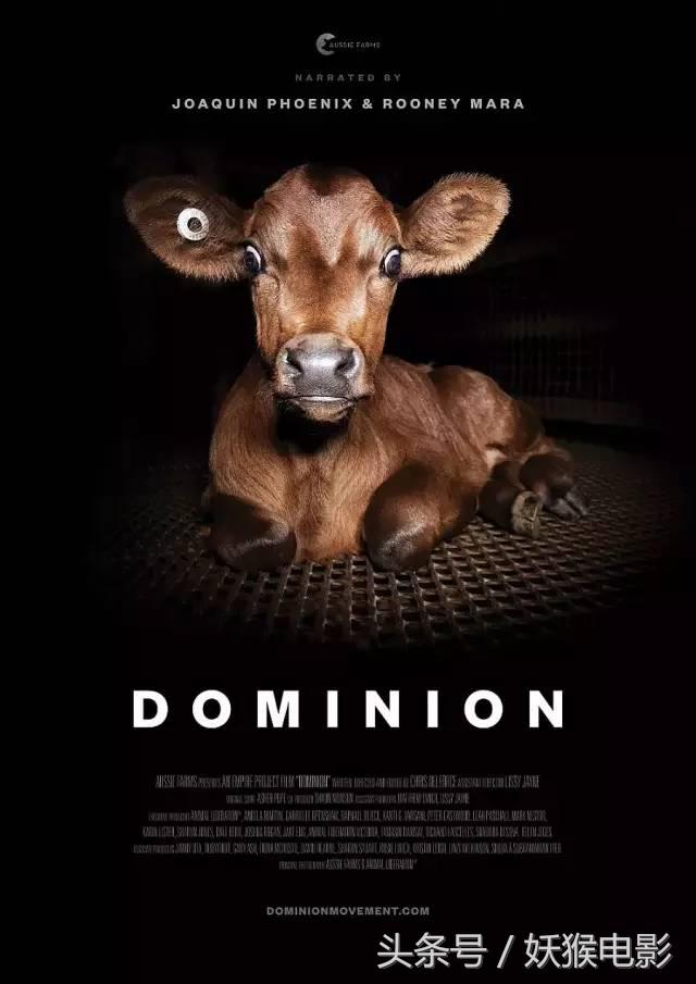 生活究竟有多么残酷,如果你觉得生活很苦不妨看一看