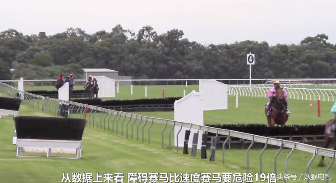 生活究竟有多么残酷,如果你觉得生活很苦不妨看一看