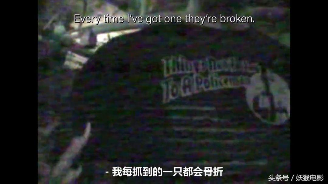 生活究竟有多么残酷,如果你觉得生活很苦不妨看一看