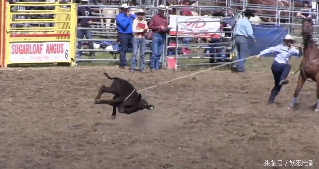 生活究竟有多么残酷,如果你觉得生活很苦不妨看一看