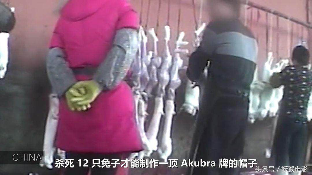 生活究竟有多么残酷,如果你觉得生活很苦不妨看一看