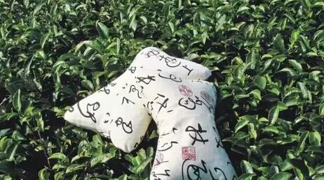 茶除了用来喝还有很多妙用，你知道吗？