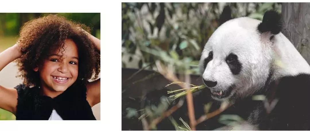 澳洲烟盒吓人视频,澳洲恐怖烟盒