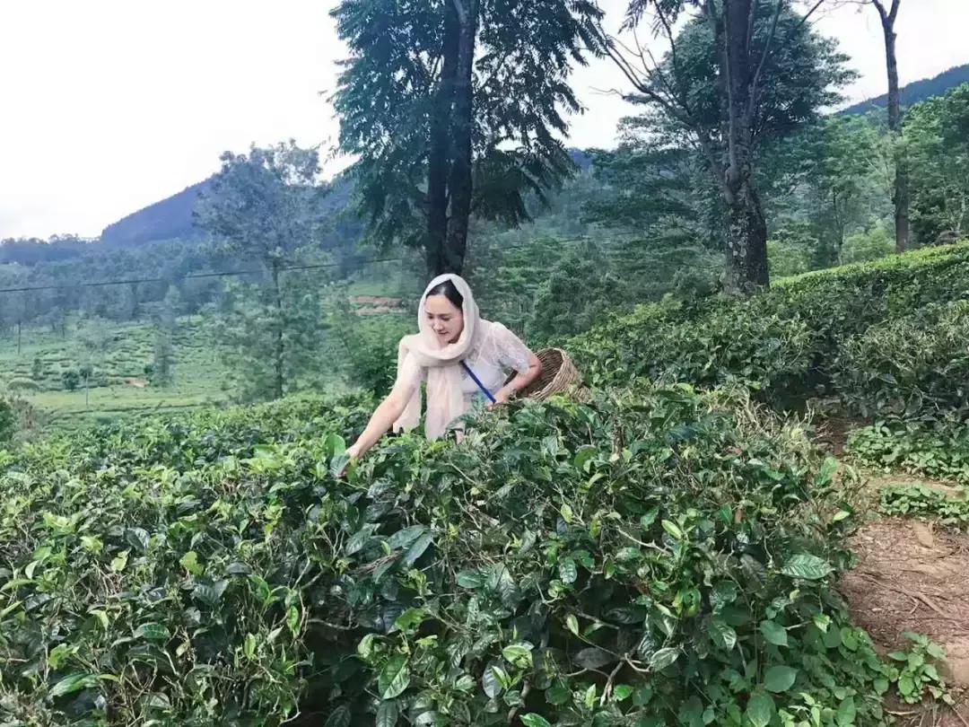 十一后再出游，轻松省出1部iPhoneXS！