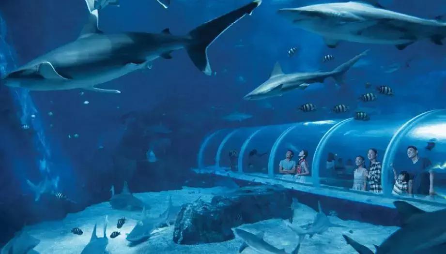 十一后再出游，轻松省出1部iPhoneXS！