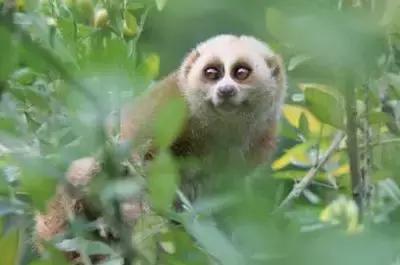 中国最美发电站,最美电厂