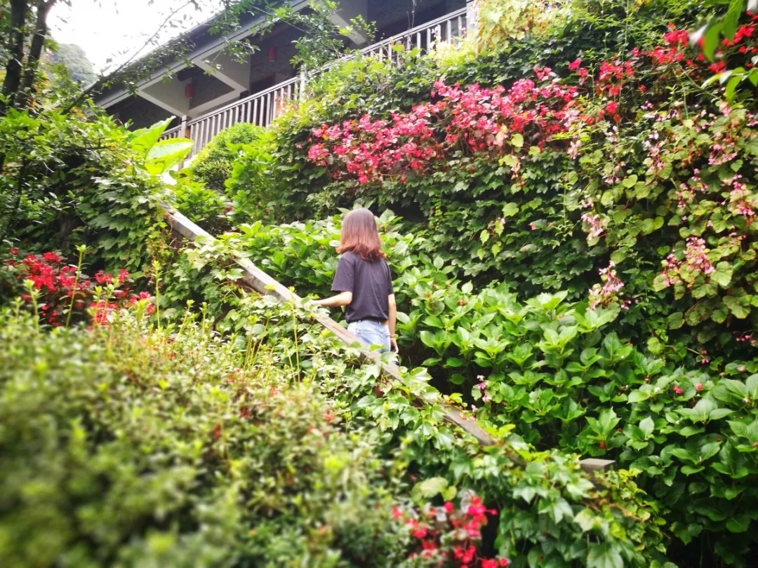 国庆假期住哪儿？水灵妹为你精心奉上都江堰这10家紧临景区的民宿酒店！让你坐拥青山绿水，感受品质生活