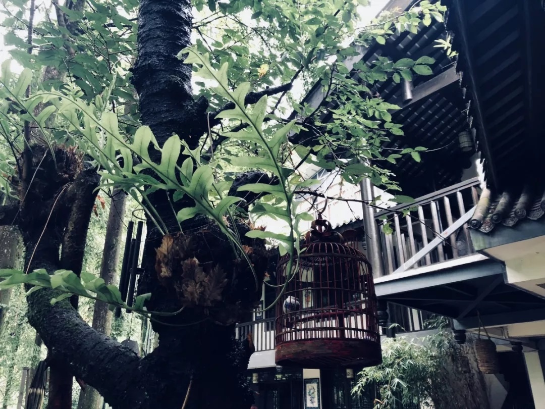 国庆假期住哪儿？水灵妹为你精心奉上都江堰这10家紧临景区的民宿酒店！让你坐拥青山绿水，感受品质生活