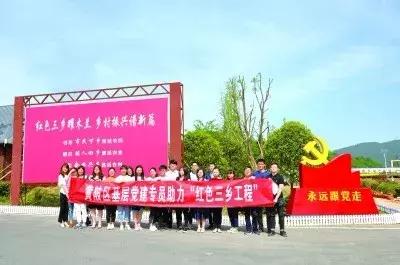 黄陂大学生基层*党**建专员“扎根记”