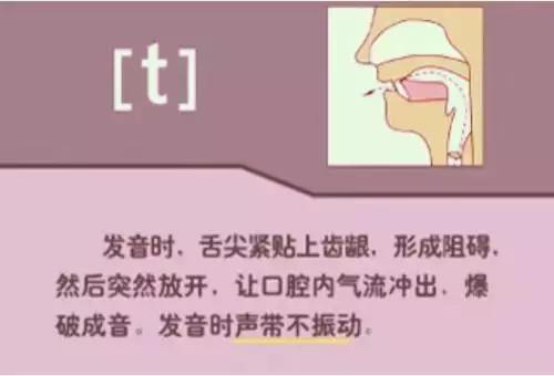 如何正确学习48个英语音标发音,英语音标速成48个简单实用易学
