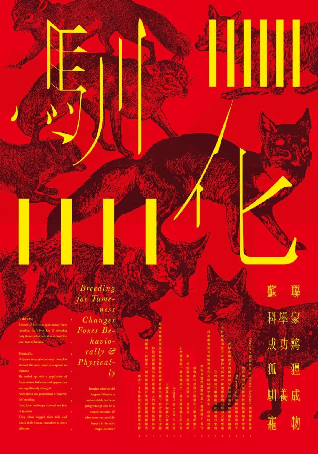 中国海报内容,中国海报速递