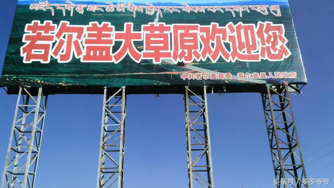 红军若尔盖大草原,若尔盖大草原是红军走过的地方吗