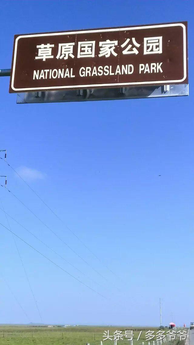 红军若尔盖大草原,若尔盖大草原是红军走过的地方吗