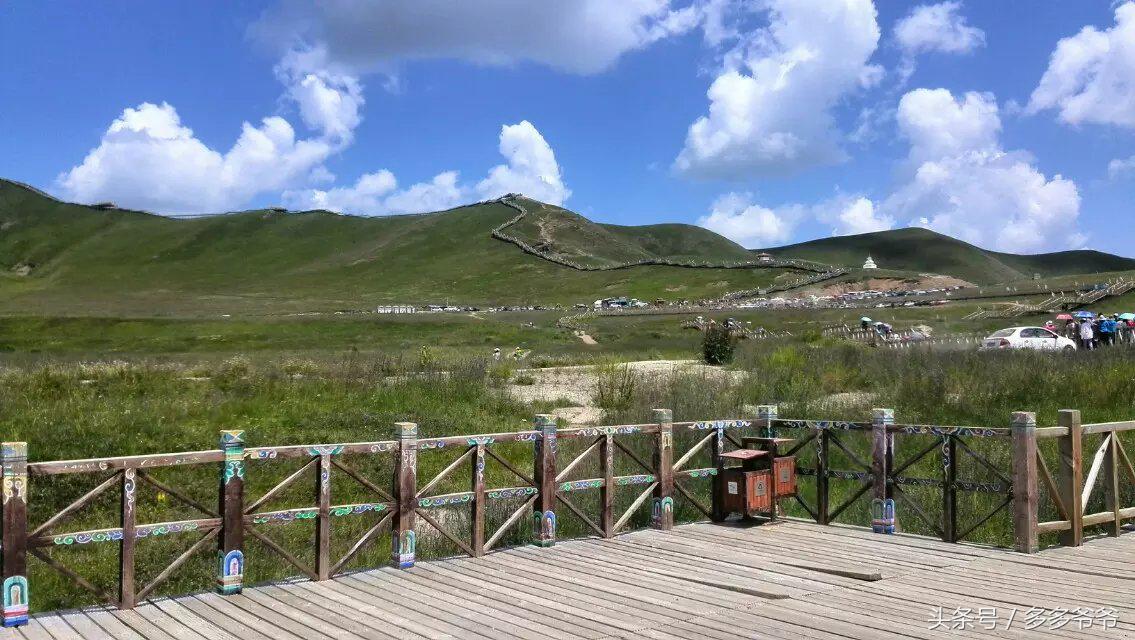 红军若尔盖大草原,若尔盖大草原是红军走过的地方吗