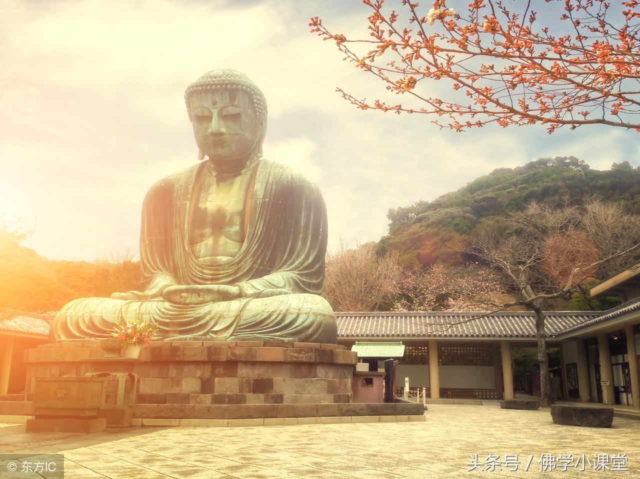 佛教僧人为了清洁杀虫蚁，算不算杀生？修佛之人都该知道