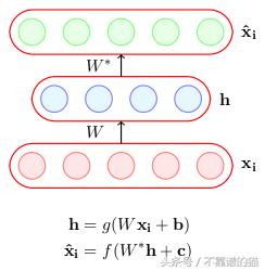 深度神经网络指南,完整版深度神经网络全面概述