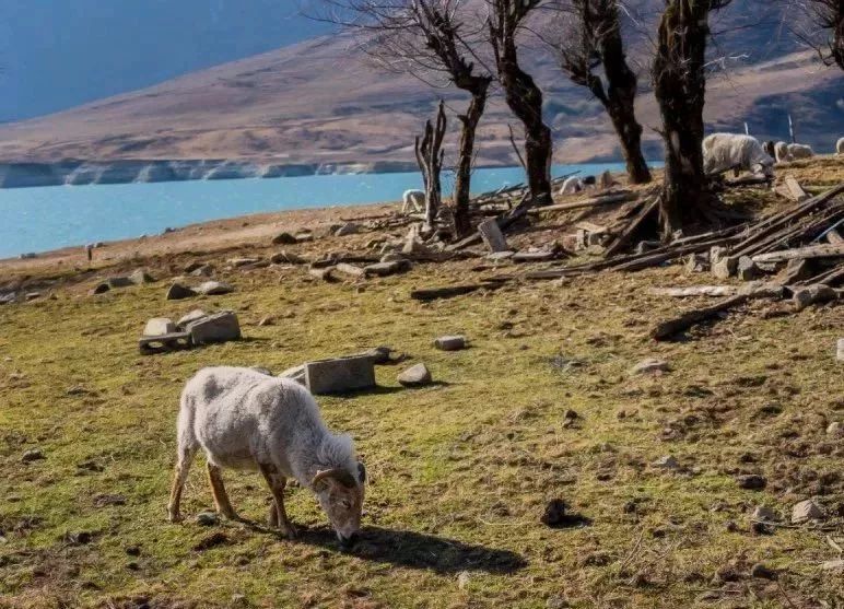 五彩凉山彝族自治州,凉山美丽乡村