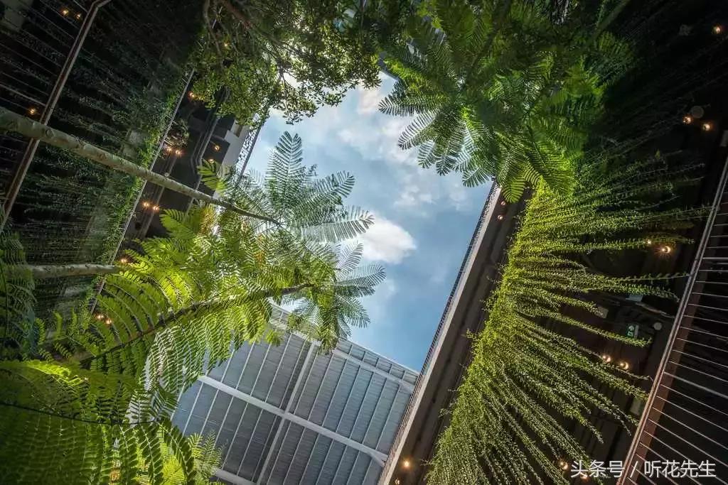 商业街景观设计提升方案,街景商业空间设计