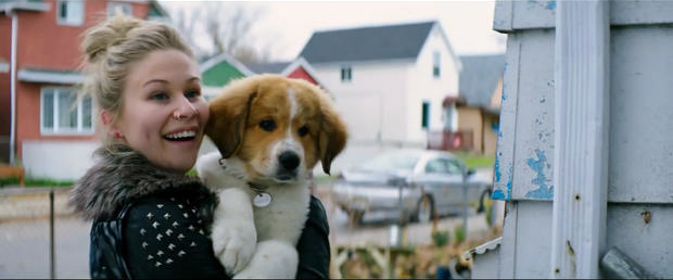 关于狗狗的一部很感人的电影,狗狗感人电影一条狗的使命