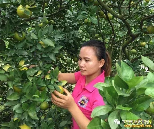 致富｜拍农村短视频成“网红”，他们做农产品电商月入过万元