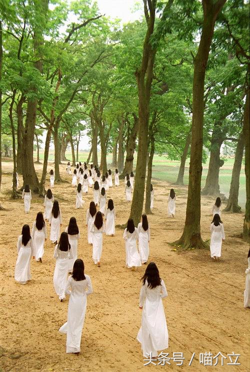 它们恰似，法国姑娘热情奔放浪漫与越南姑娘含蓄温柔的完美结合