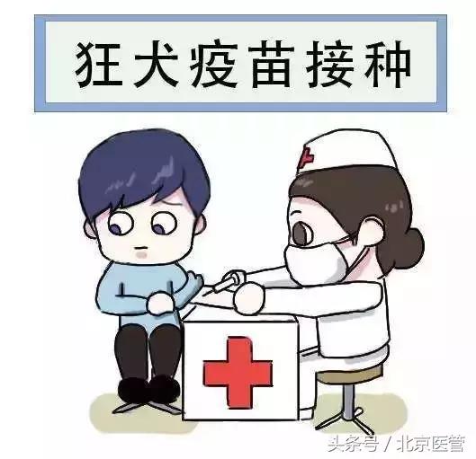 六岁男童被狗咬狂犬病发作后续,男子确诊狂犬病身亡几年前被咬过