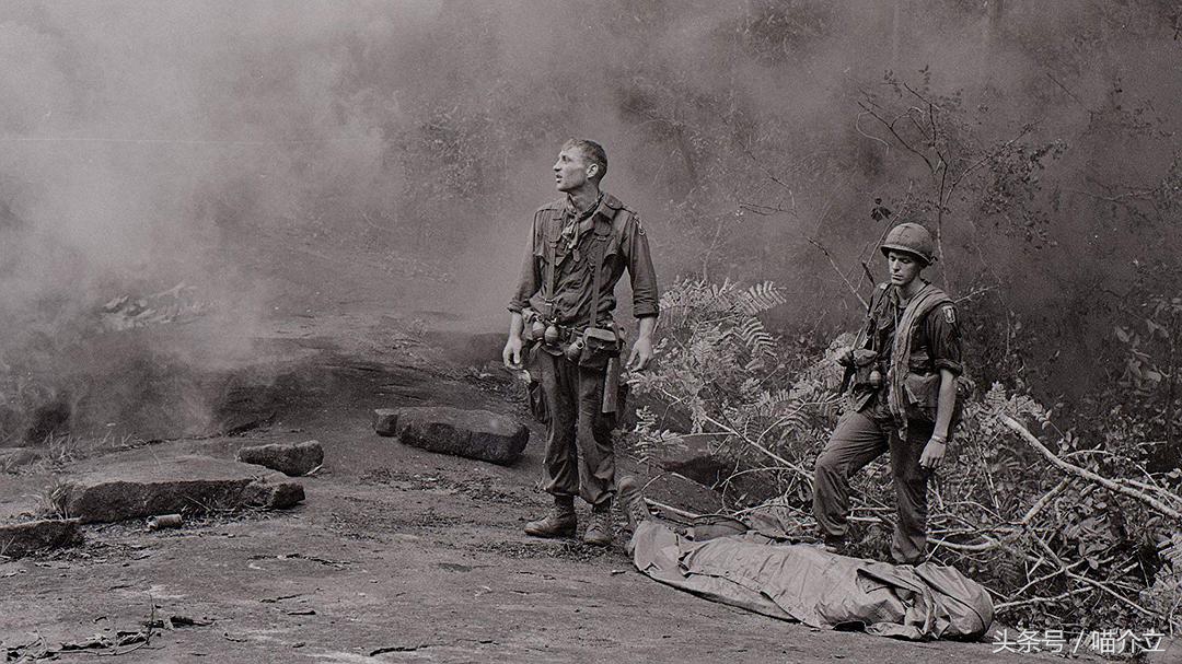 它们恰似，法国姑娘热情奔放浪漫与越南姑娘含蓄温柔的完美结合