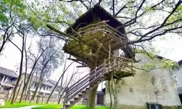 乡村振兴看浙江,乌镇乌村考察报告