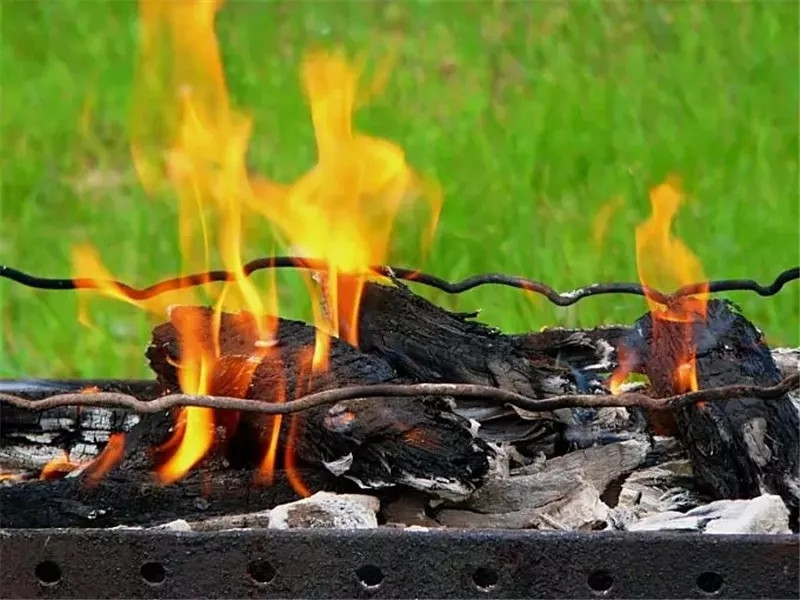 发生食物中毒如何有效救治,食物中毒疾控如何处理