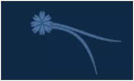 黄简草书讲座第25篇,黄简讲书法笔势篇笔记