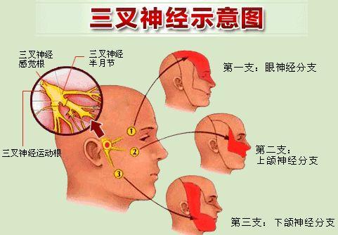 名医手记∣兰大一院专家提醒您:天凉了,若牙齿痛”“眼皮跳”您可得小心了!