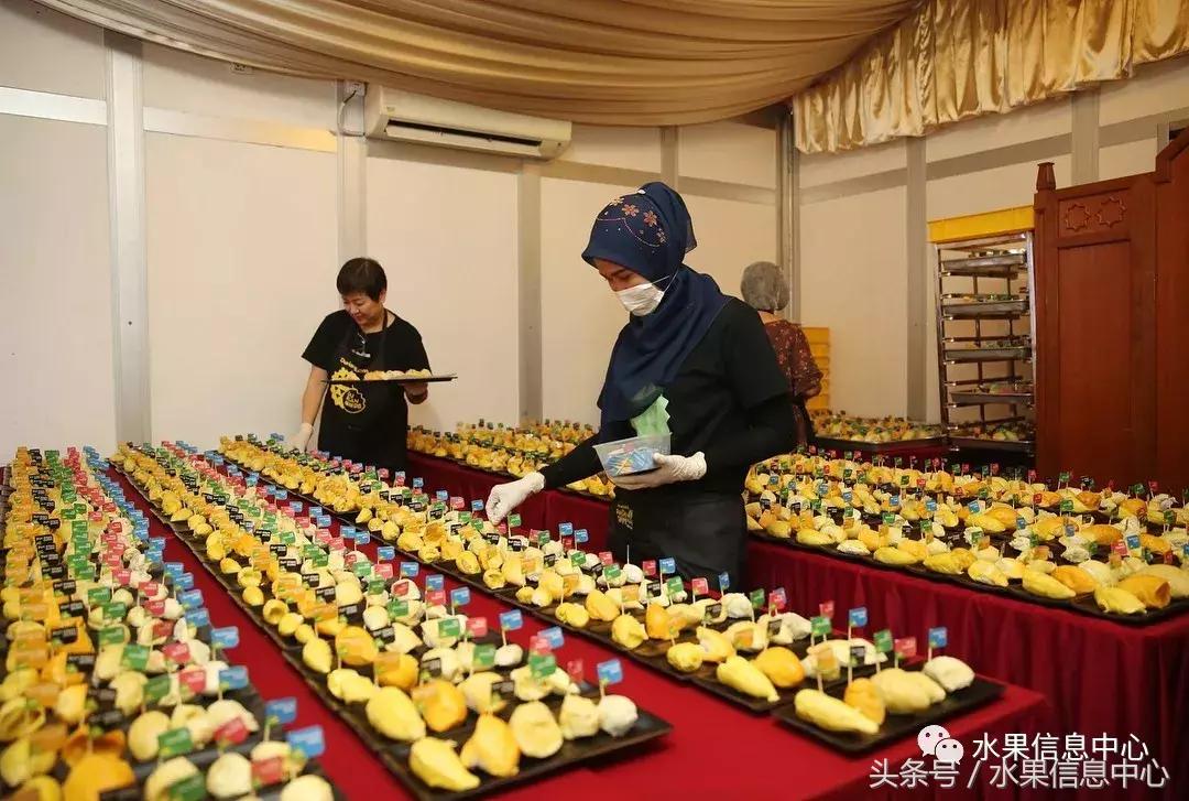 从榴莲代购起家,到64个实体销售点,他势要打造一个榴莲王国