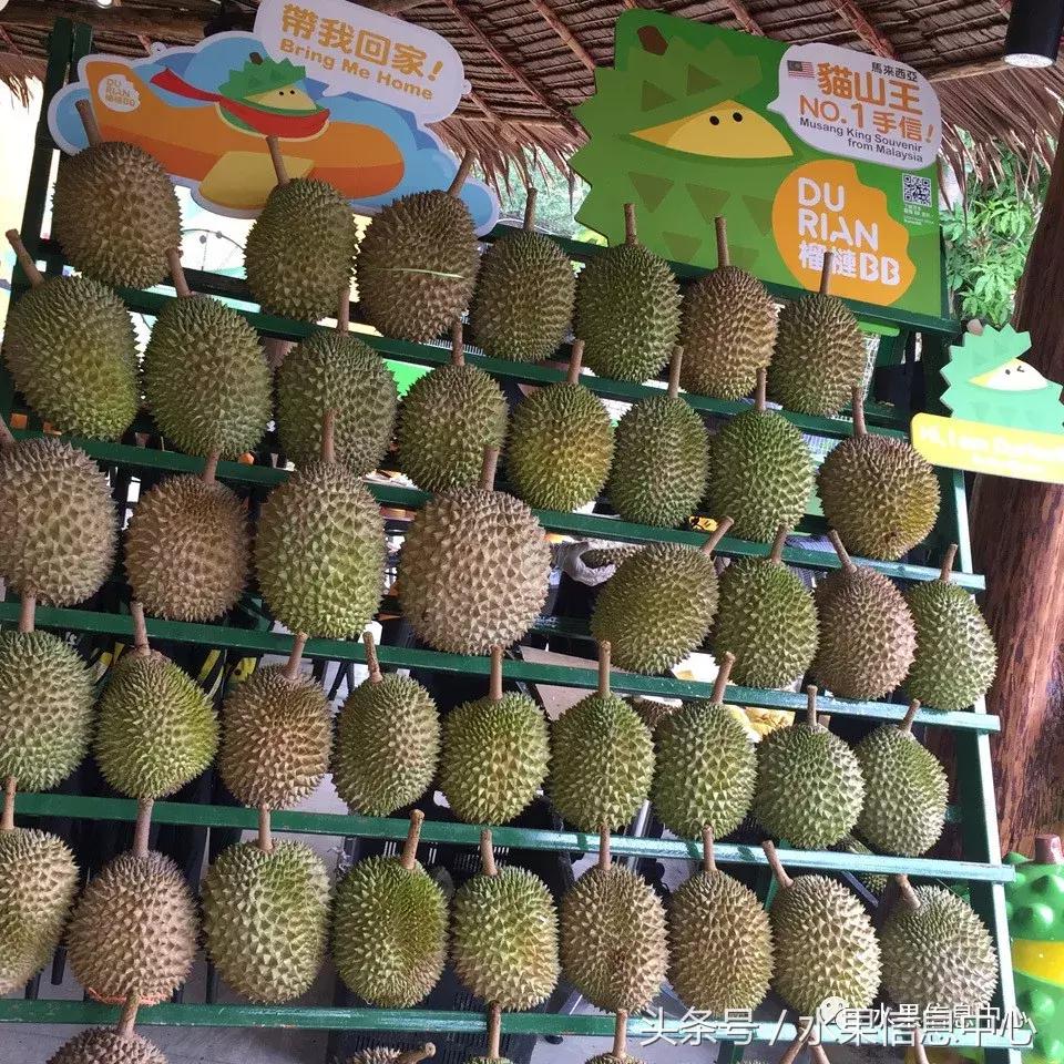 从榴莲代购起家,到64个实体销售点,他势要打造一个榴莲王国