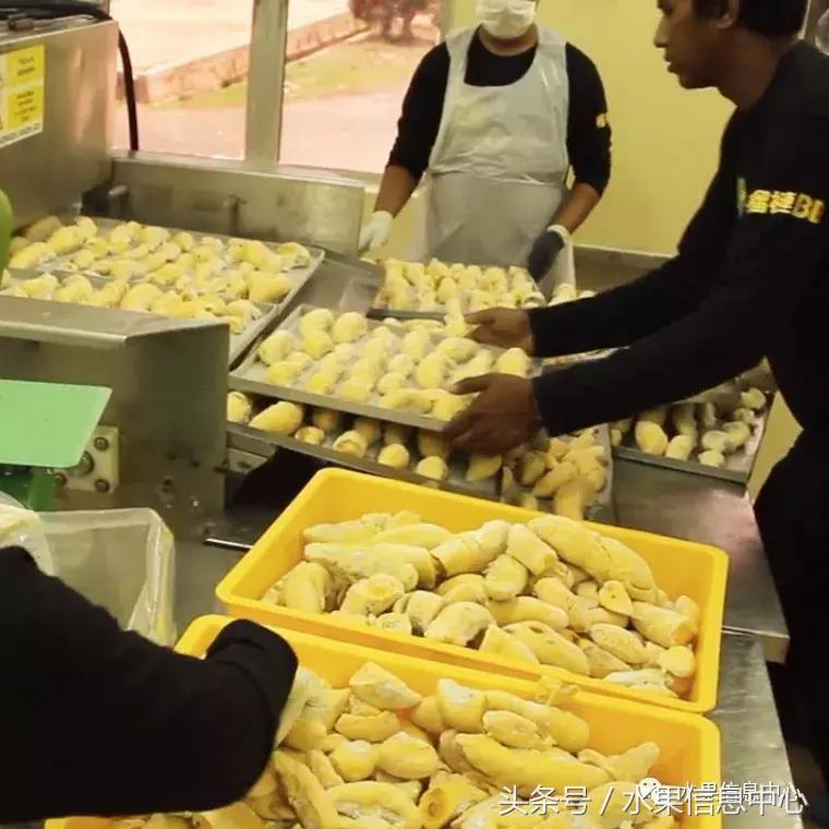 从榴莲代购起家,到64个实体销售点,他势要打造一个榴莲王国