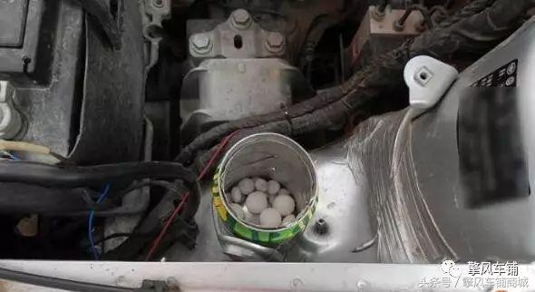 老鼠总进发动机舱怎么办,怎么防老鼠进发动机舱