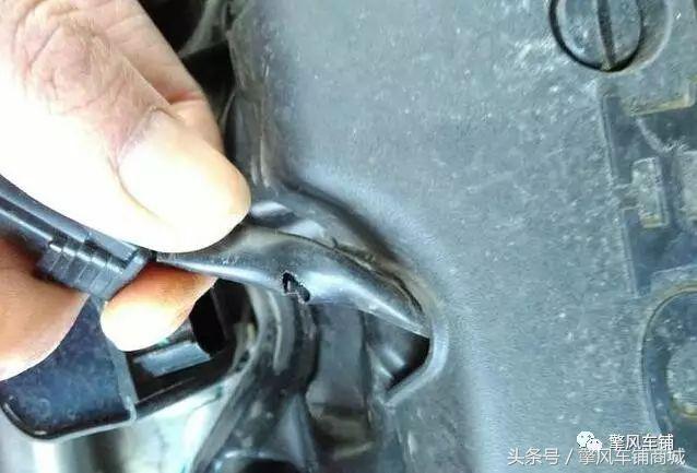 老鼠总进发动机舱怎么办,怎么防老鼠进发动机舱