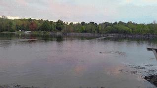 收下这份最全避雷指南,打水漂终极秘笈