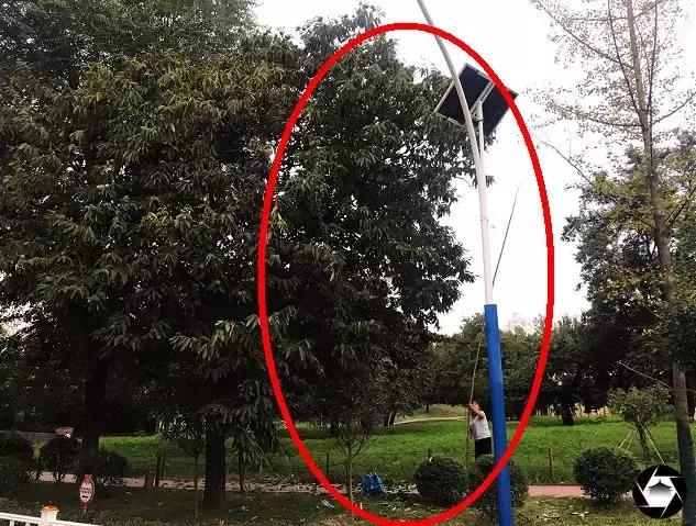 秦岭野生动物园真实攻略,秦岭野生动物园两大两小攻略