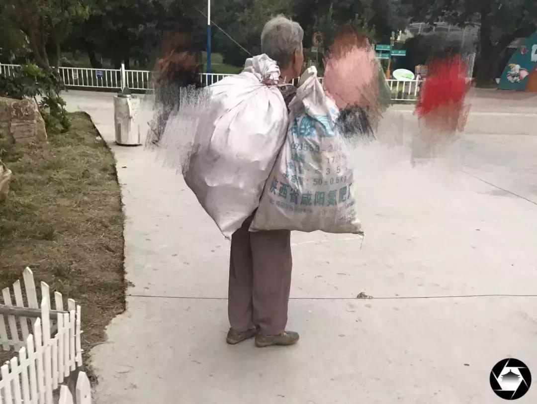 秦岭野生动物园真实攻略,秦岭野生动物园两大两小攻略