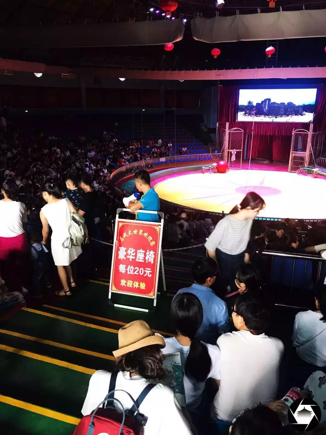 秦岭野生动物园真实攻略,秦岭野生动物园两大两小攻略