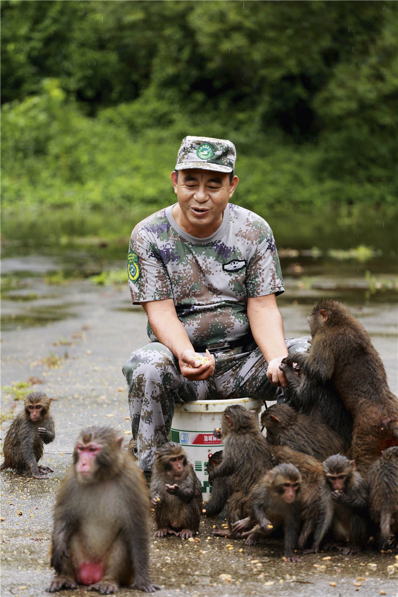 珠江出海口群岛,珠江三角洲中国南大门