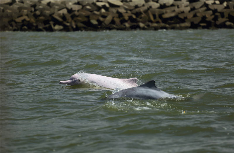 珠江出海口群岛,珠江三角洲中国南大门
