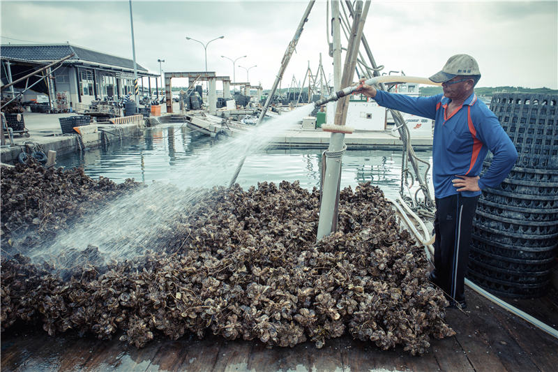澎湖岛简介,澎湖列岛经济怎么样
